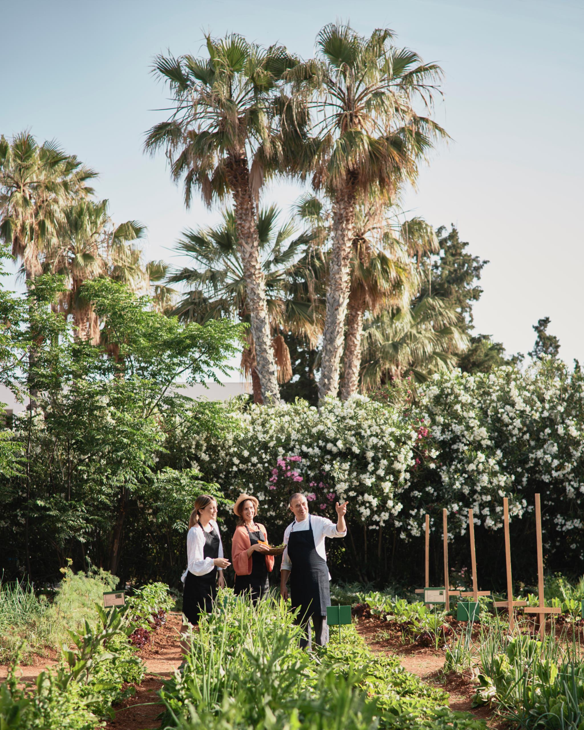 DH Community Blog Cretan Malia Park Culinary Chronicles Chef Lefteris Iliadis 07