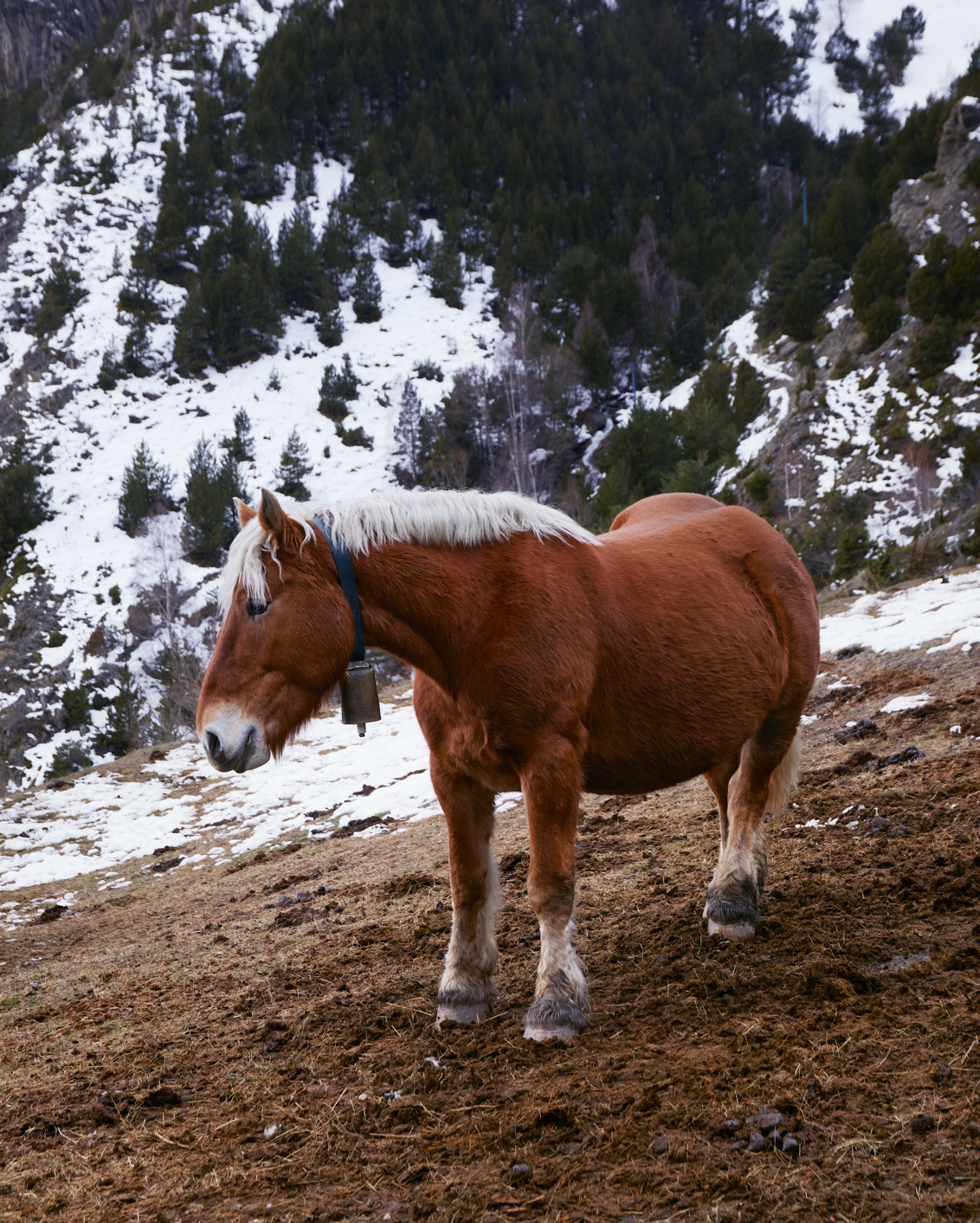 Elche 2021 kitsempty spaces the blog free