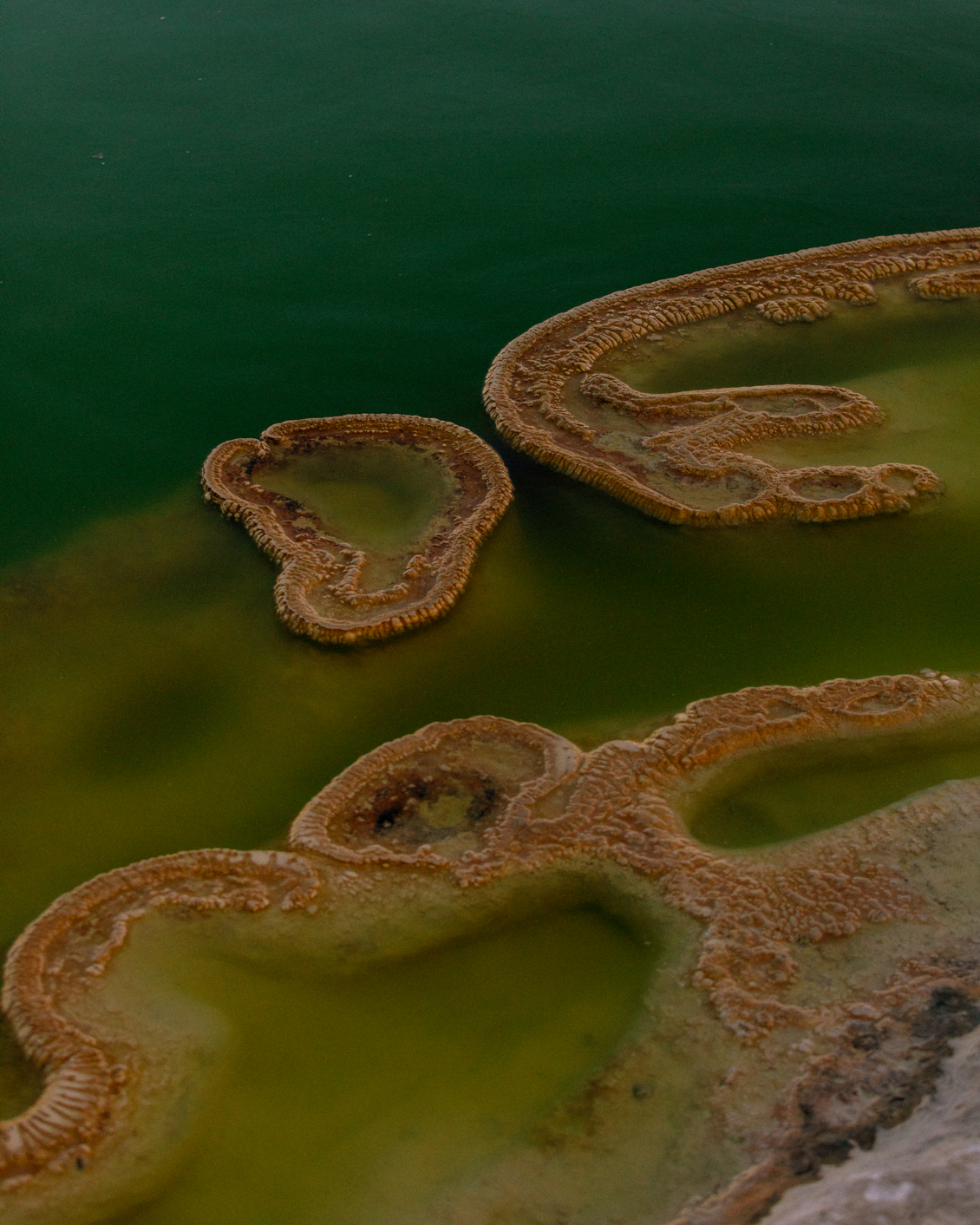 29 How To Travel In 2021