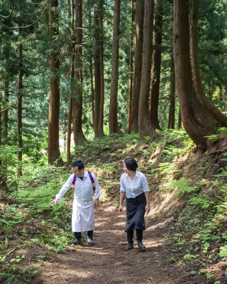 31 How To Travel In 2021