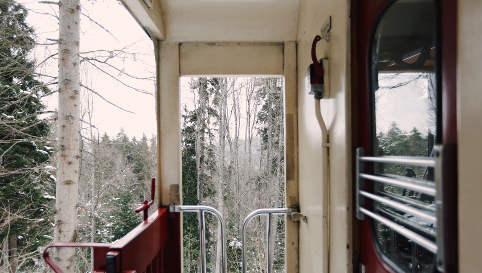 Skiing Niches Georgia Train