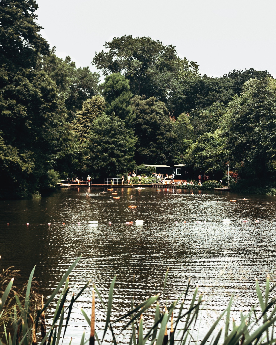 08 Destination London Hampstead Heath Swimming Ponds