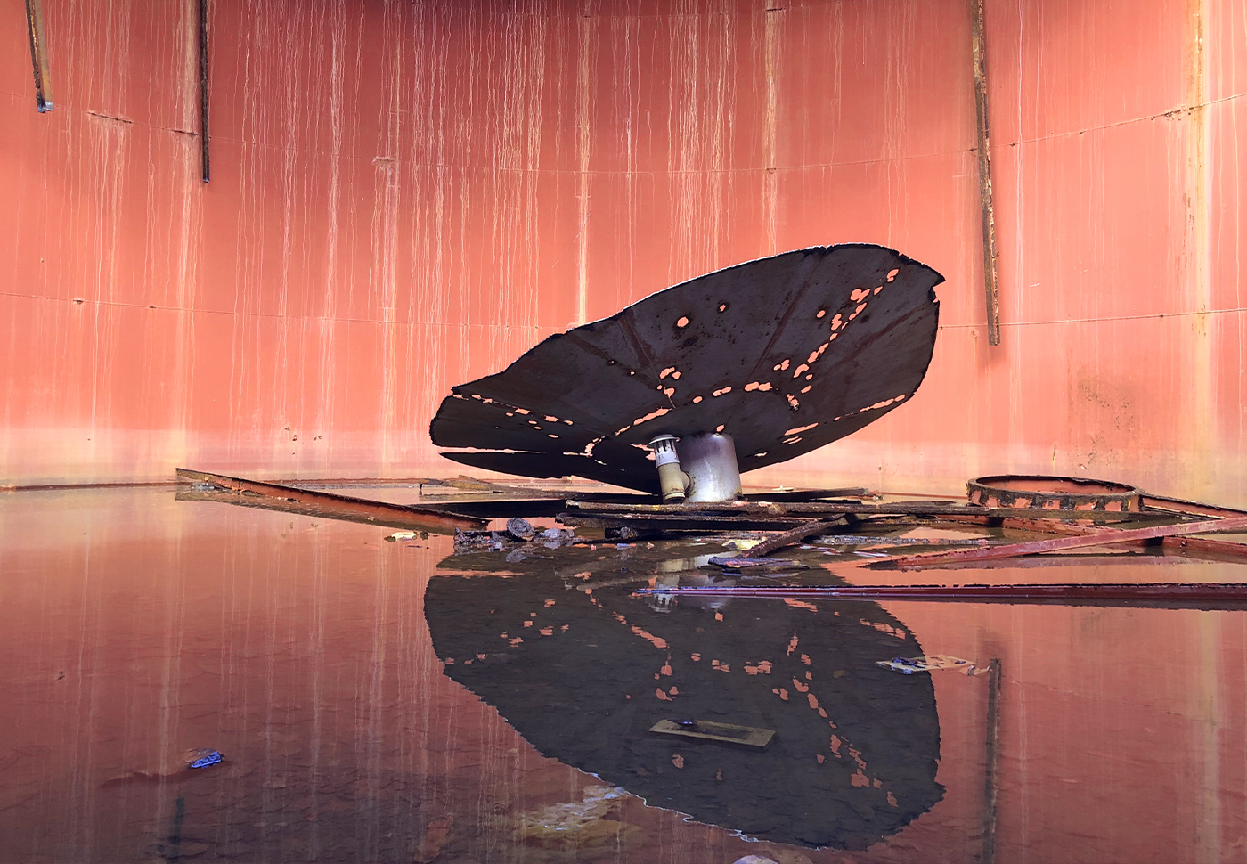 Blog SP Dexamenes 04D