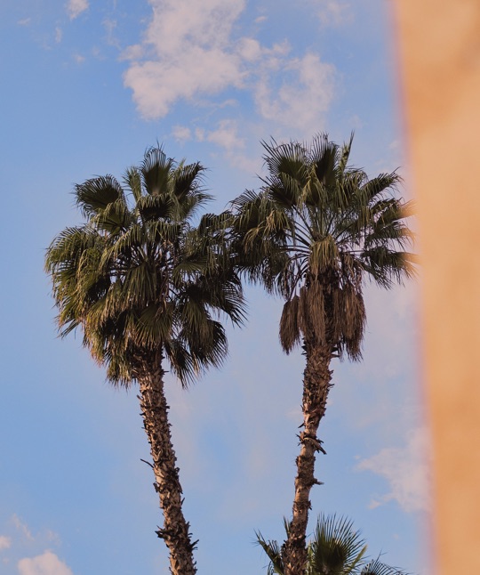 Further Marrakech Mbarek Bouhchichi 08