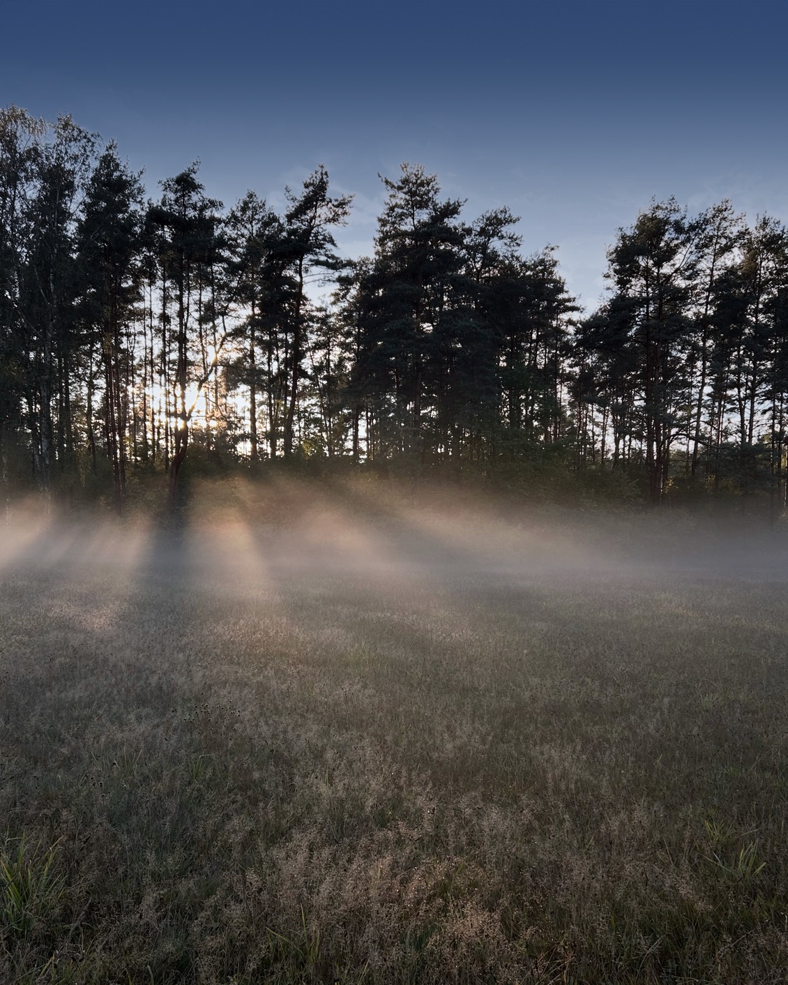 Journal Article Autumn 2023 08