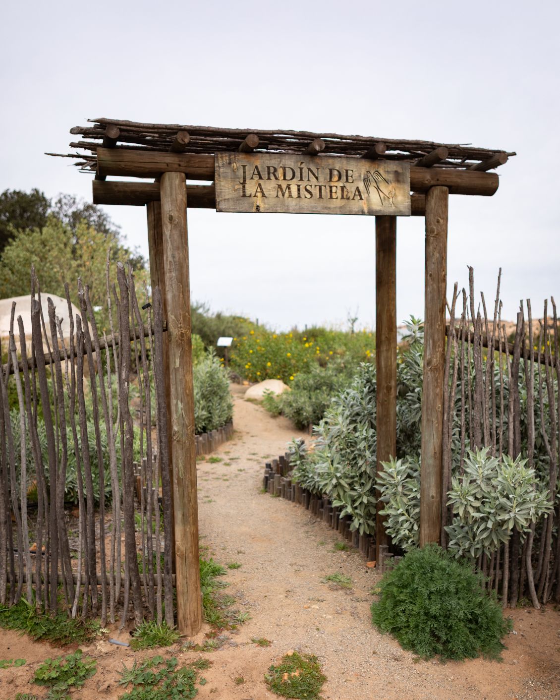 12 DH The Originals Mira Earth Studios Neighborhood Garden 1