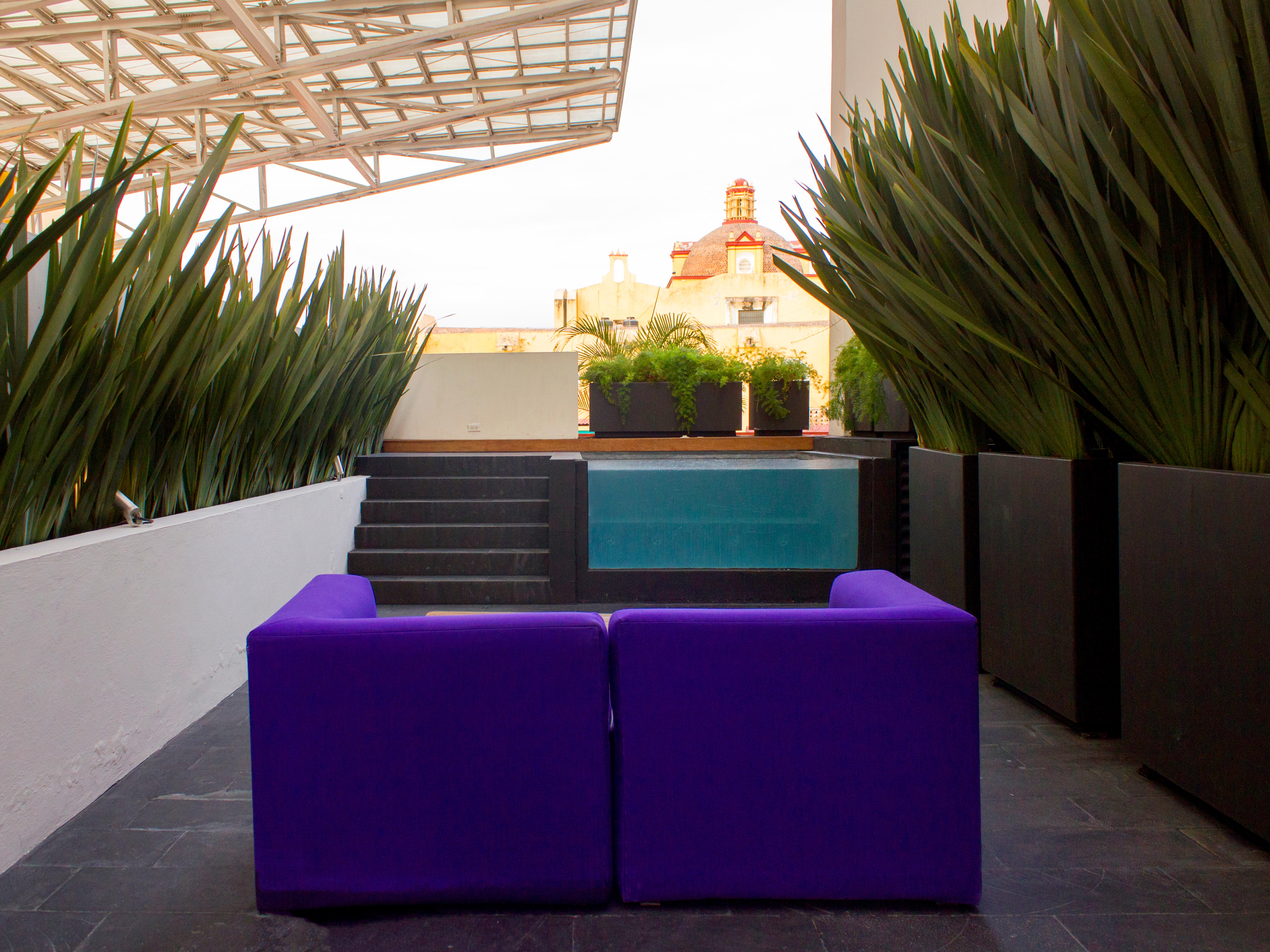 Top Suite, La Purificadora