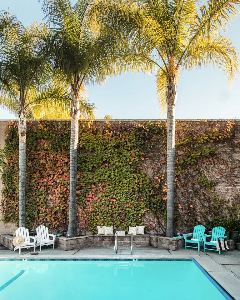 T Dr Wilkinsons Backyard Resort And Mineral Springs Calistoga USA