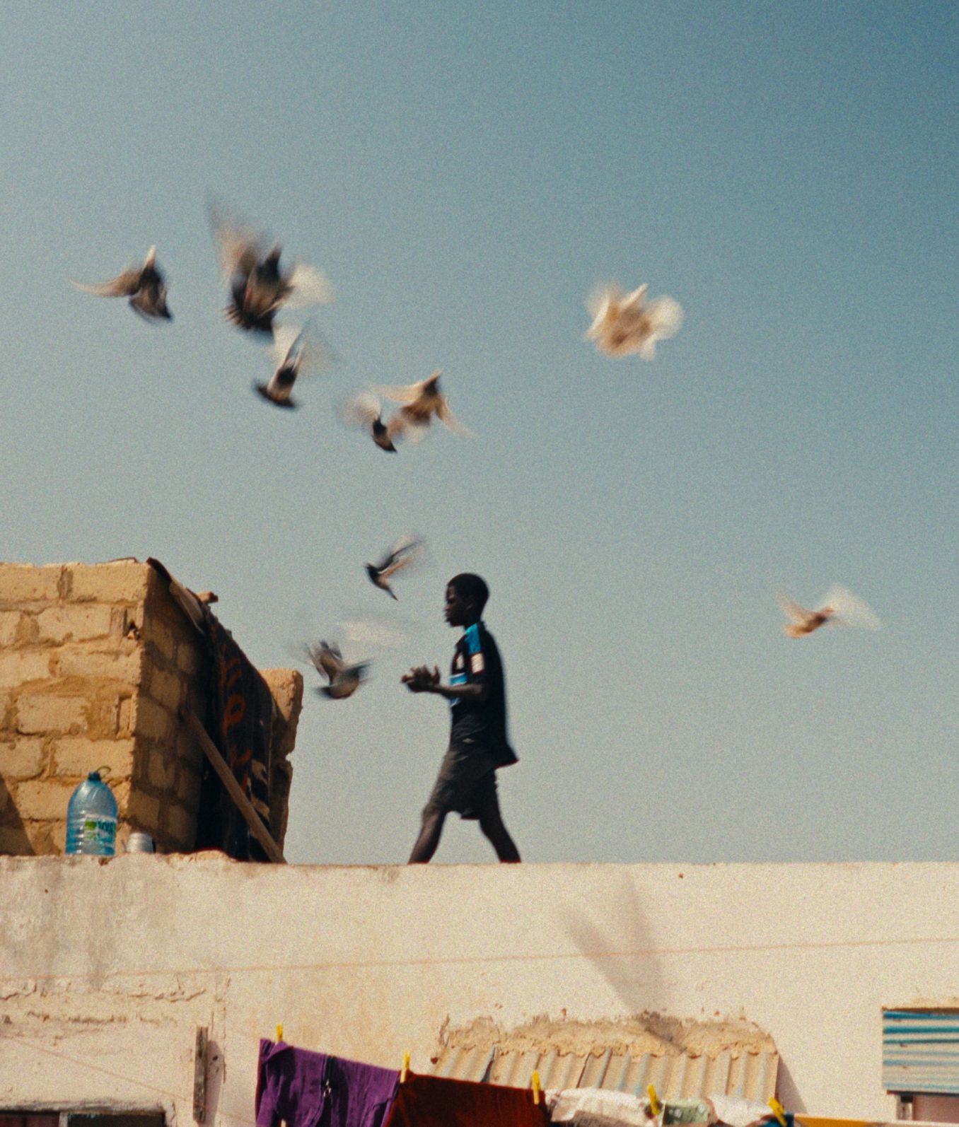 02 Oceanic Global Film Festival Winning Films Nio Ko Bokk 2