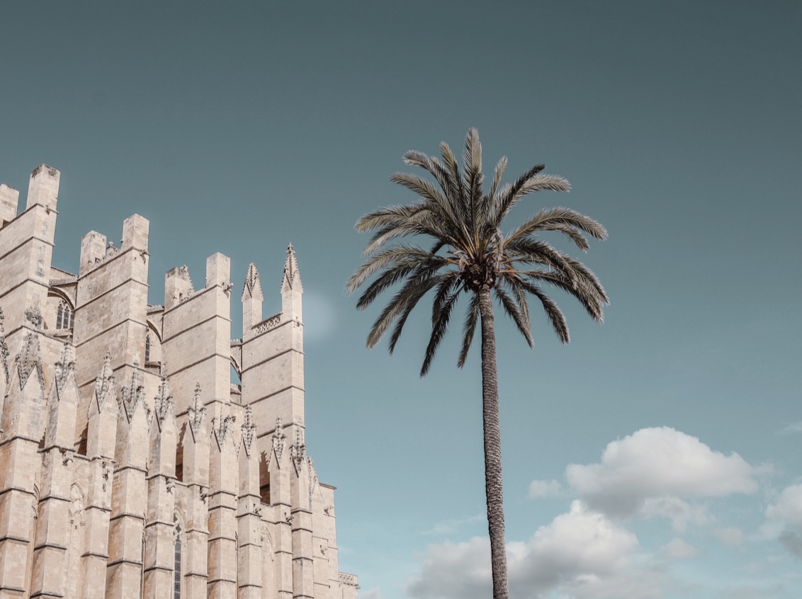 Nobis Conceptio Palma City