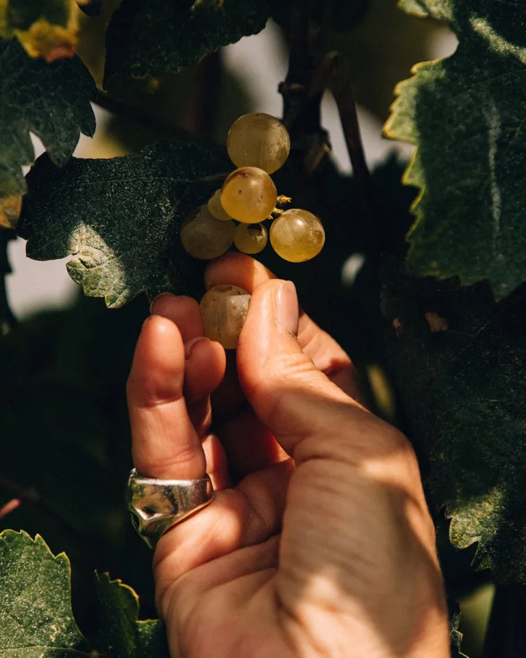 010 MBO Minos Art Beach