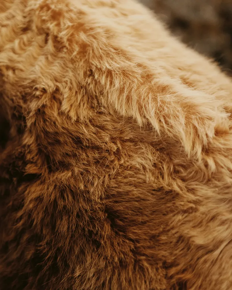 014 Rote Wand Farming Cattle