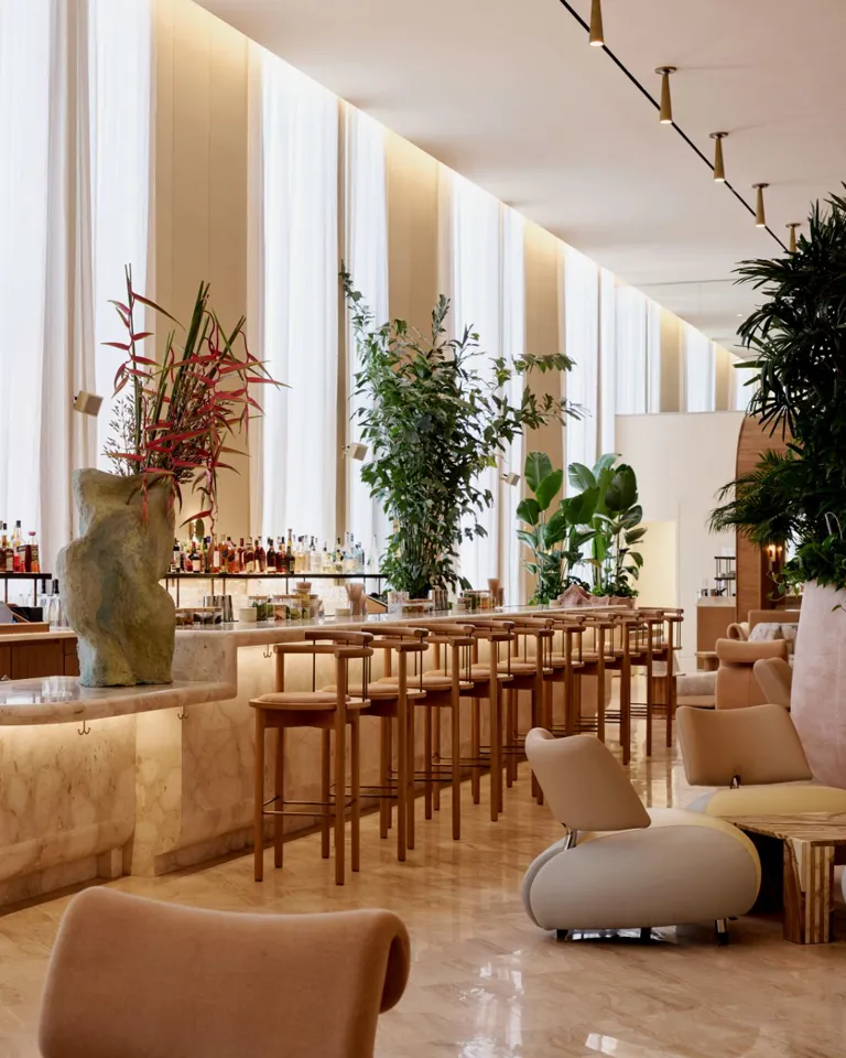 06 DIR 2026 The Shelborne Bar