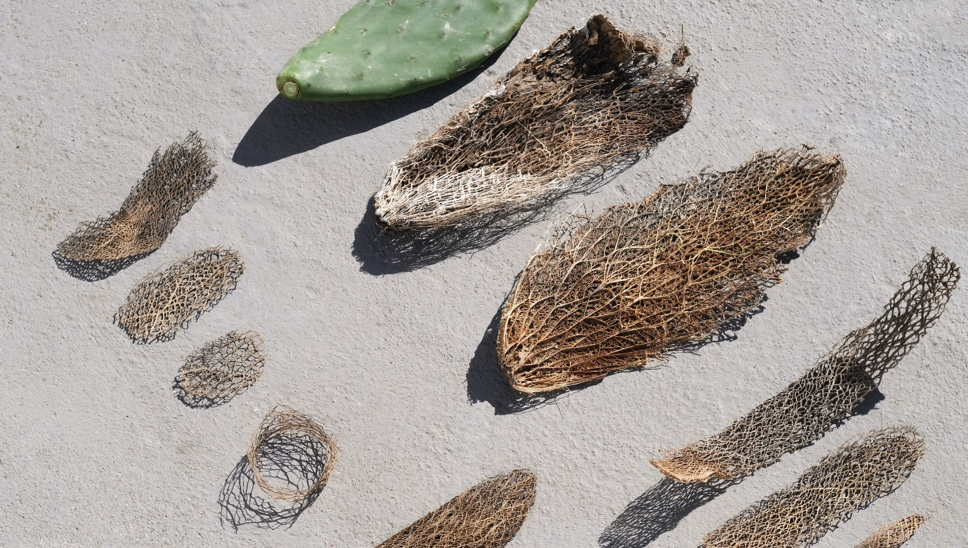 BP My Private Oddyssey 07