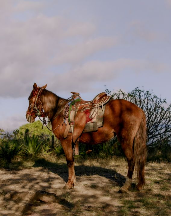 W40 41 Destination Guides Mexico