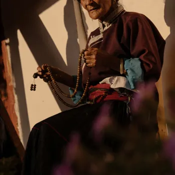 The Arcadia Place China Usp 03