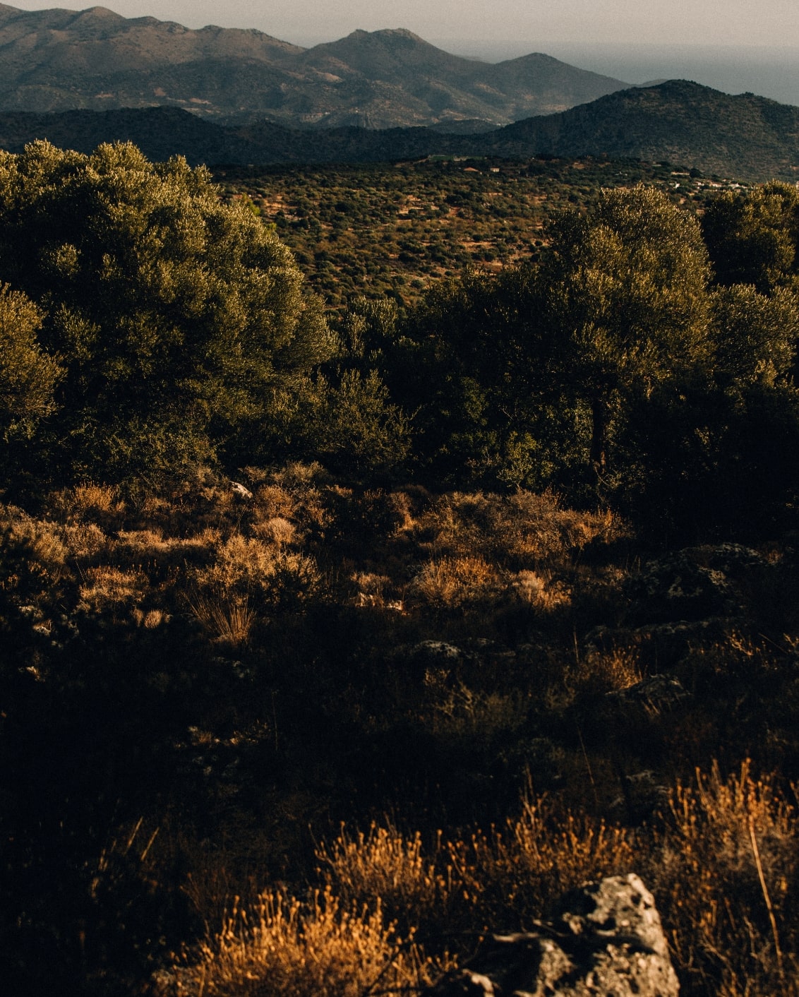 DH22 Culture Journal DHB22 Minos Image 04