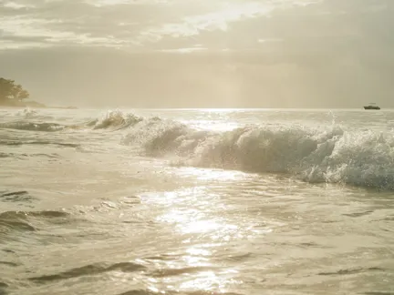 02 Voaara Originals Phillipe And Vi Kjellgren Beach Waves