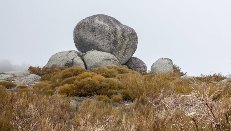 003 Foggy Destinations BP