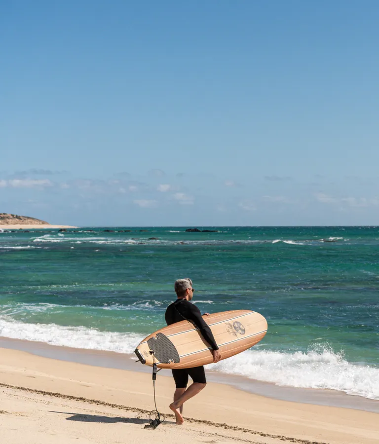 Nest Baja San Jose Del Cabo Mexico Baja Area
