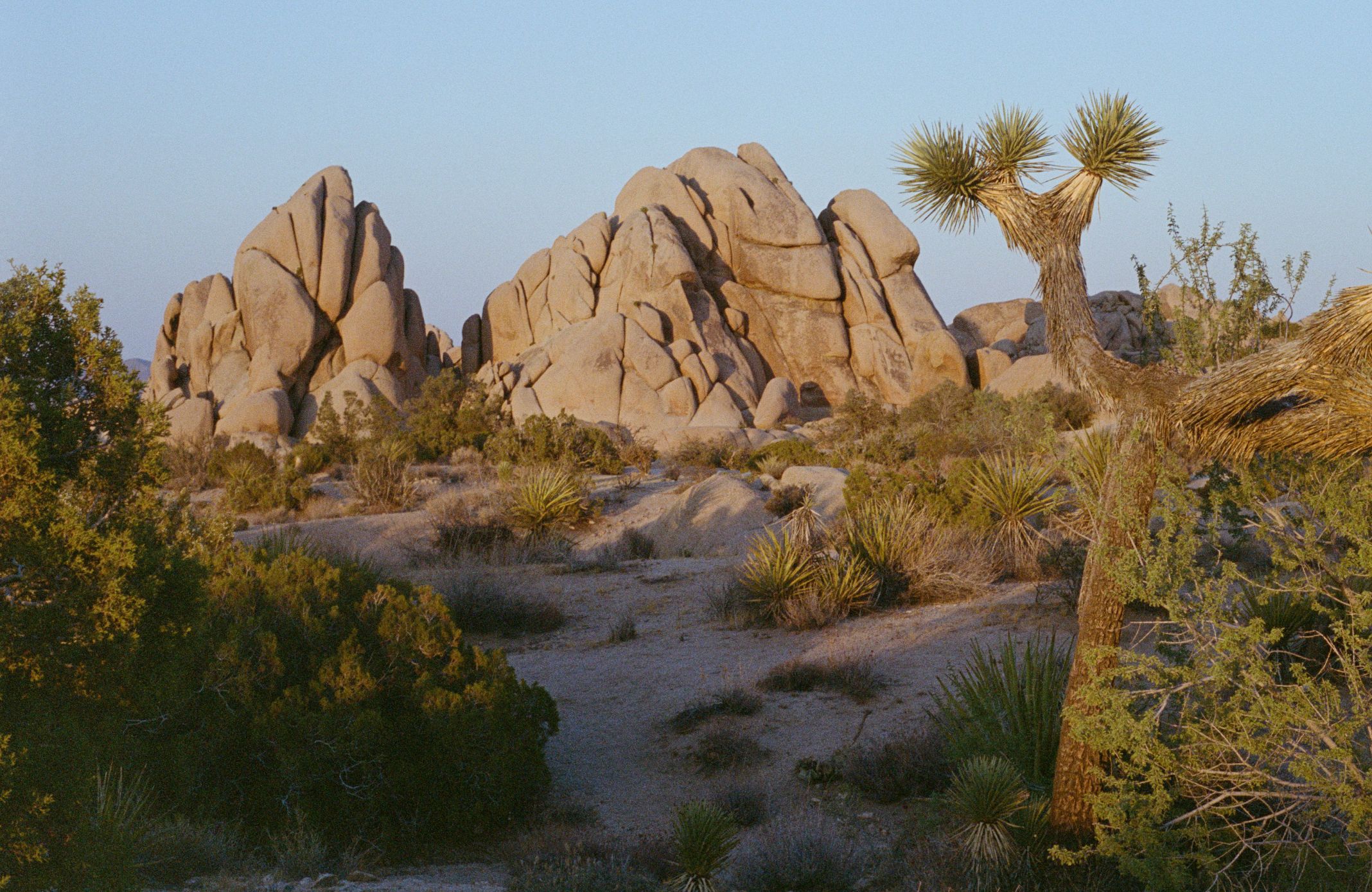 Hotel Wren Theme Box 01 Destination