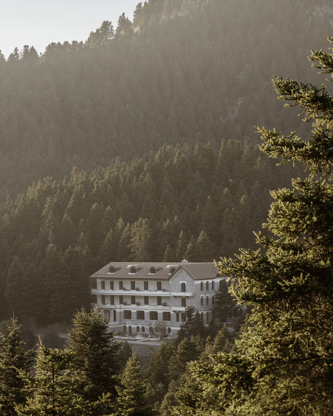 02 Forest & Mountain Hotels