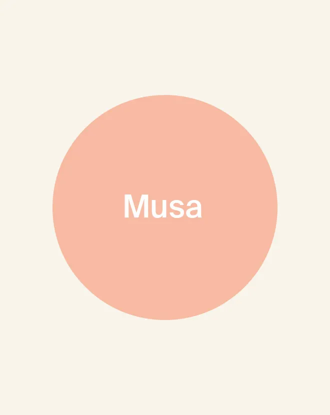 DH Arena Spaker Illu Musa