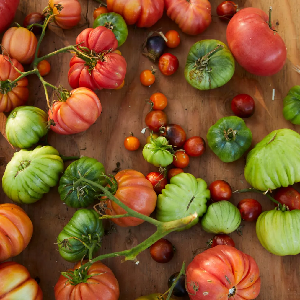 Scribners Catskill Lodge Theme Box 02 Food And Drink 02.2