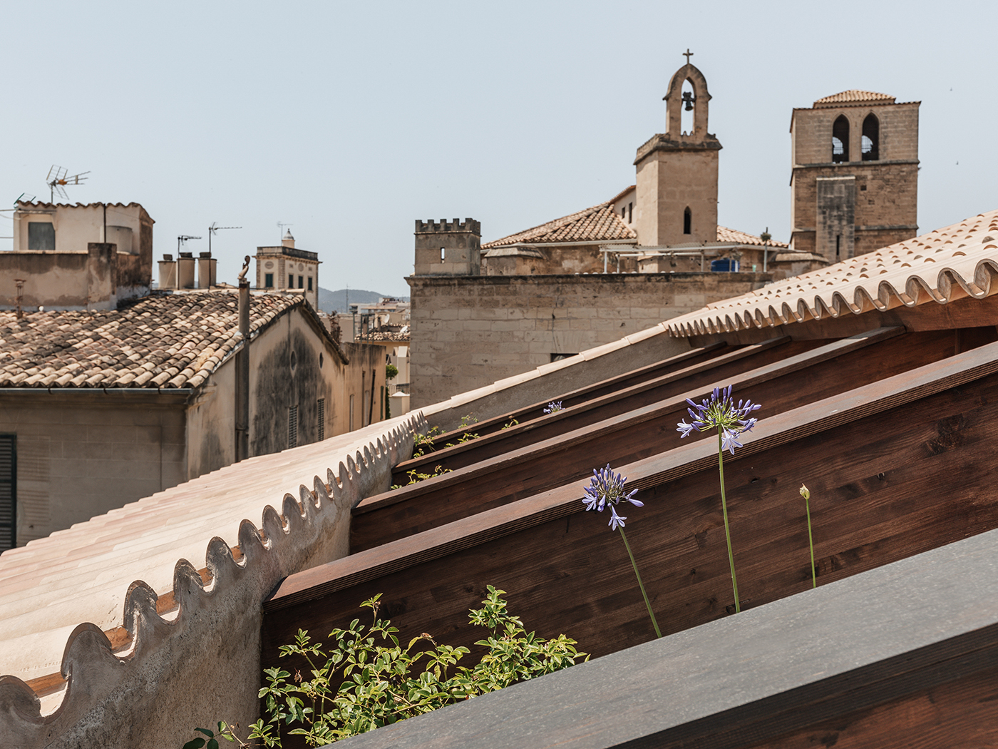 Nobis Hotel Palma Rooftop Suite V2 R 05