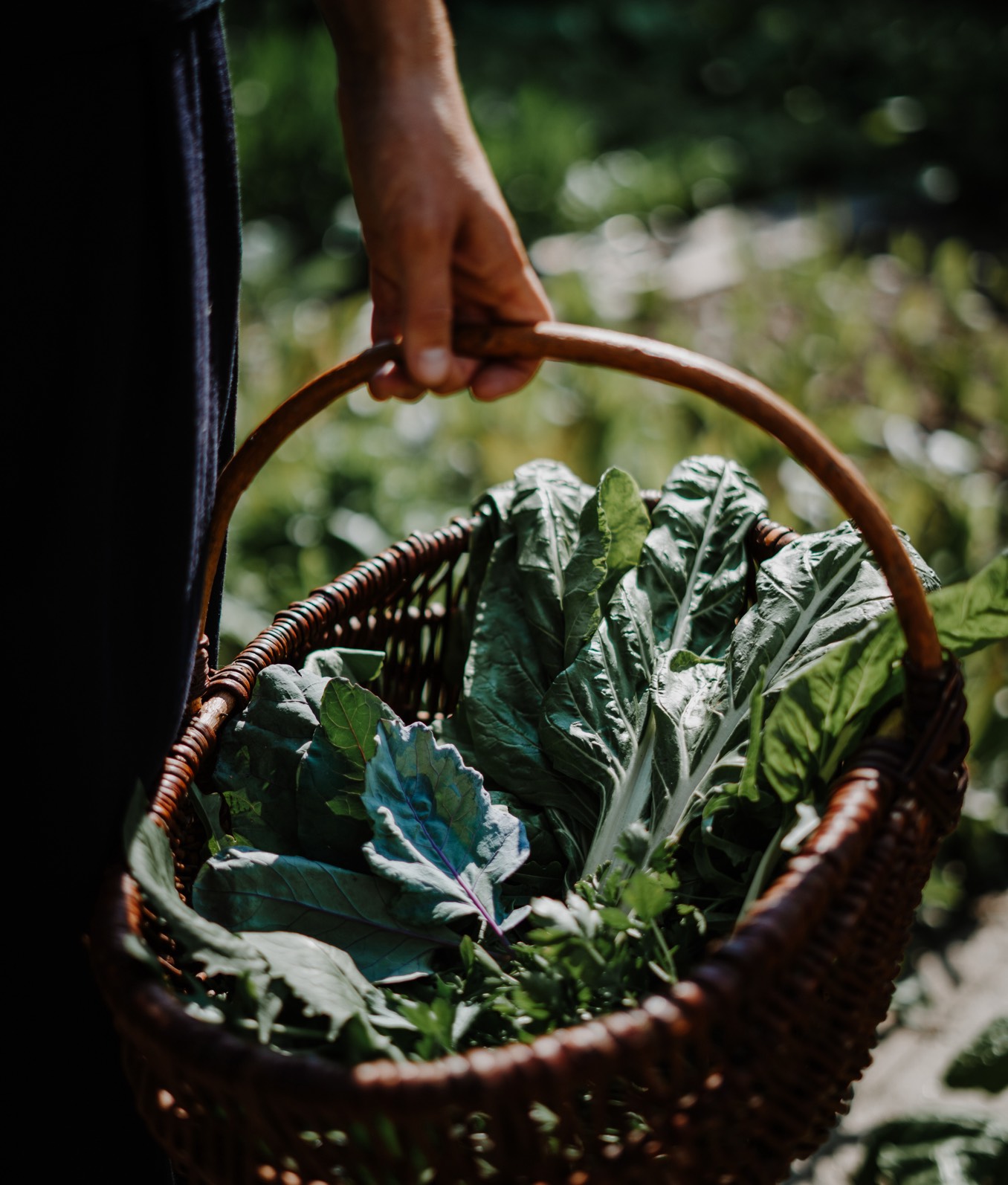 Hotel Schwarzschmied Theme Box 03 Food And Drink 1