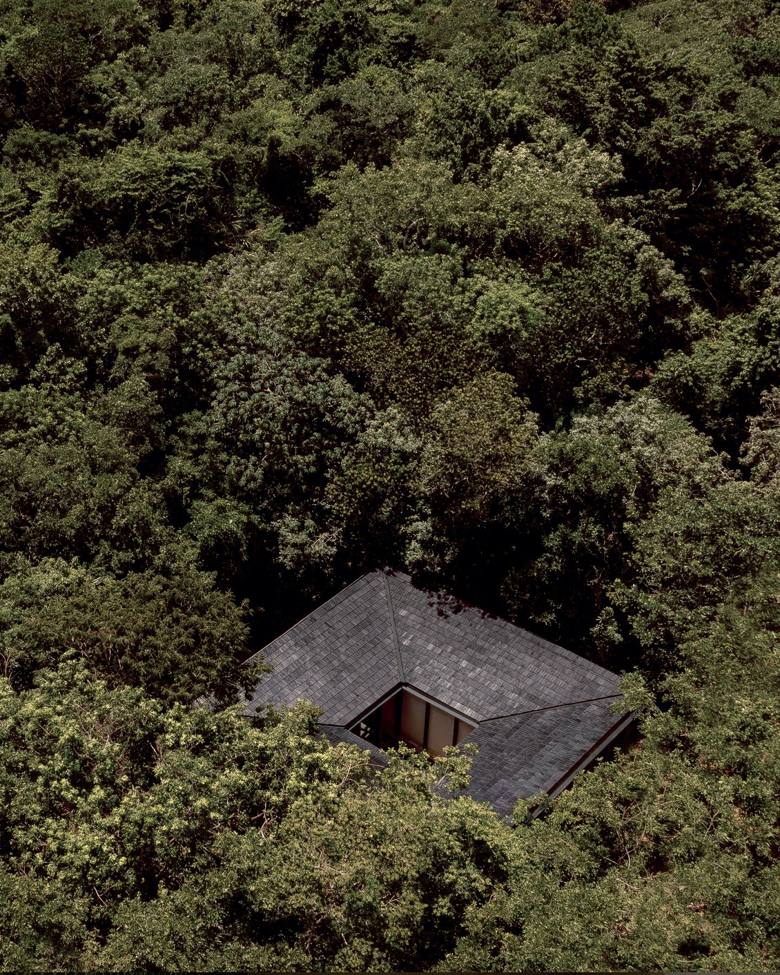 014 Rodrigo Juarez Boca De Agua Carousel 03