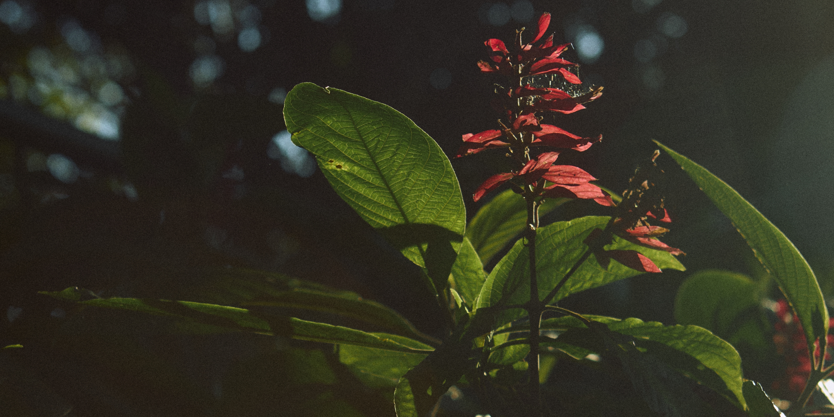 01 Directions Costa Rica