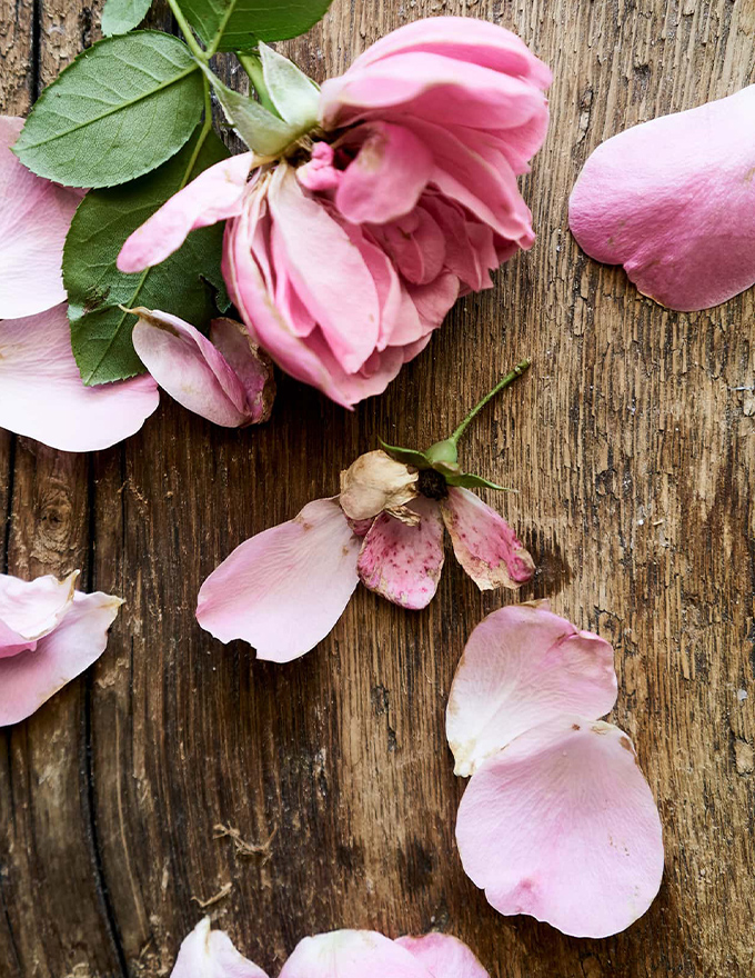 02 Bachmair Weissach