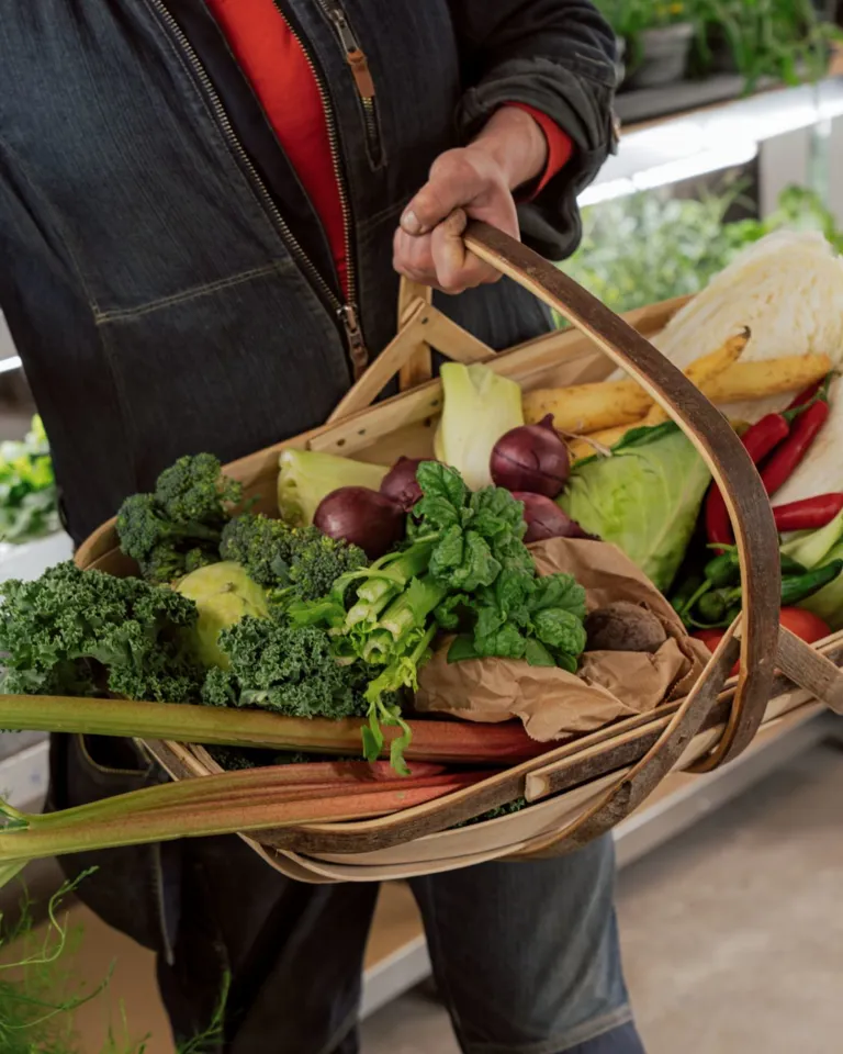 07 Blique By Nobis Indoor Outdoor Farming Harvest For Chef