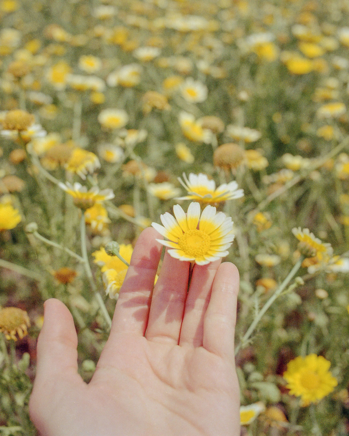 11 TGT Katie Mcknoulty