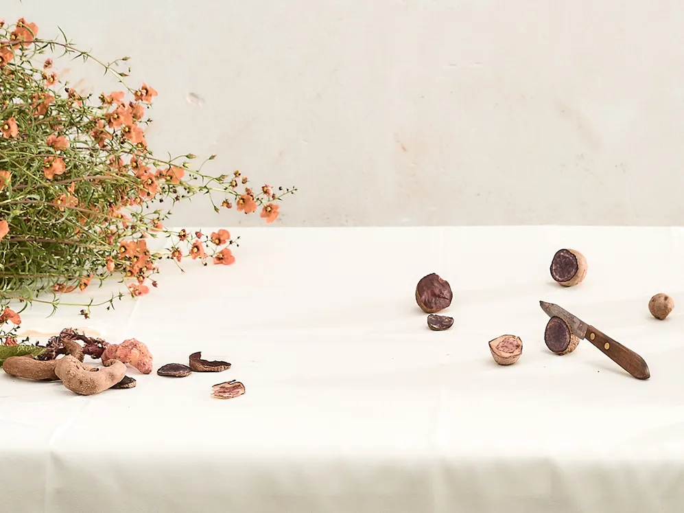 Pachamama S Land Part 3