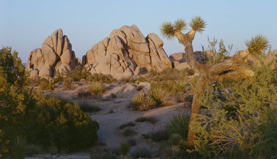 18 Scenic Road Trips