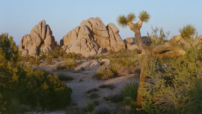 18 Scenic Road Trips