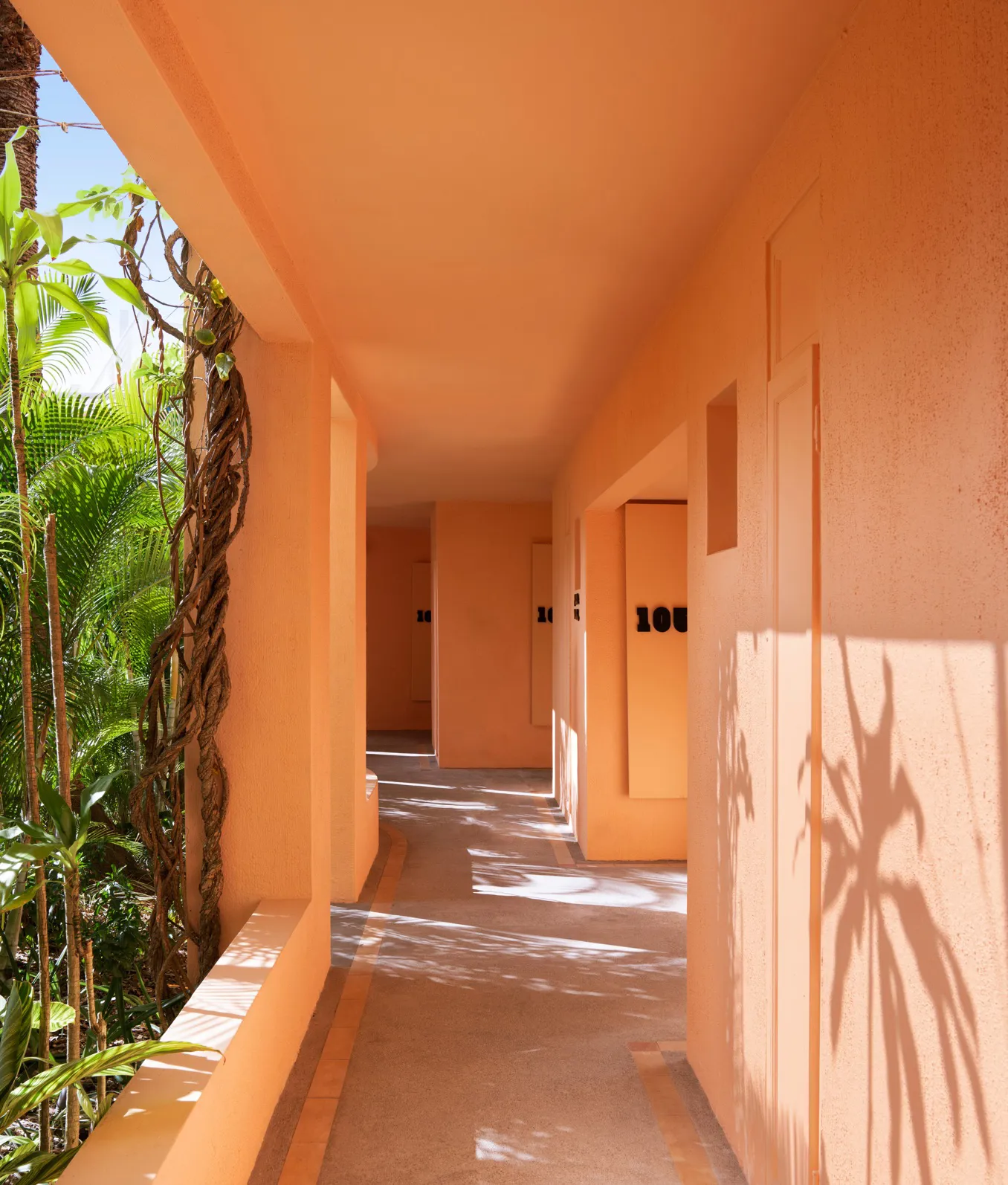 Salt Of Palmar Architecture 1