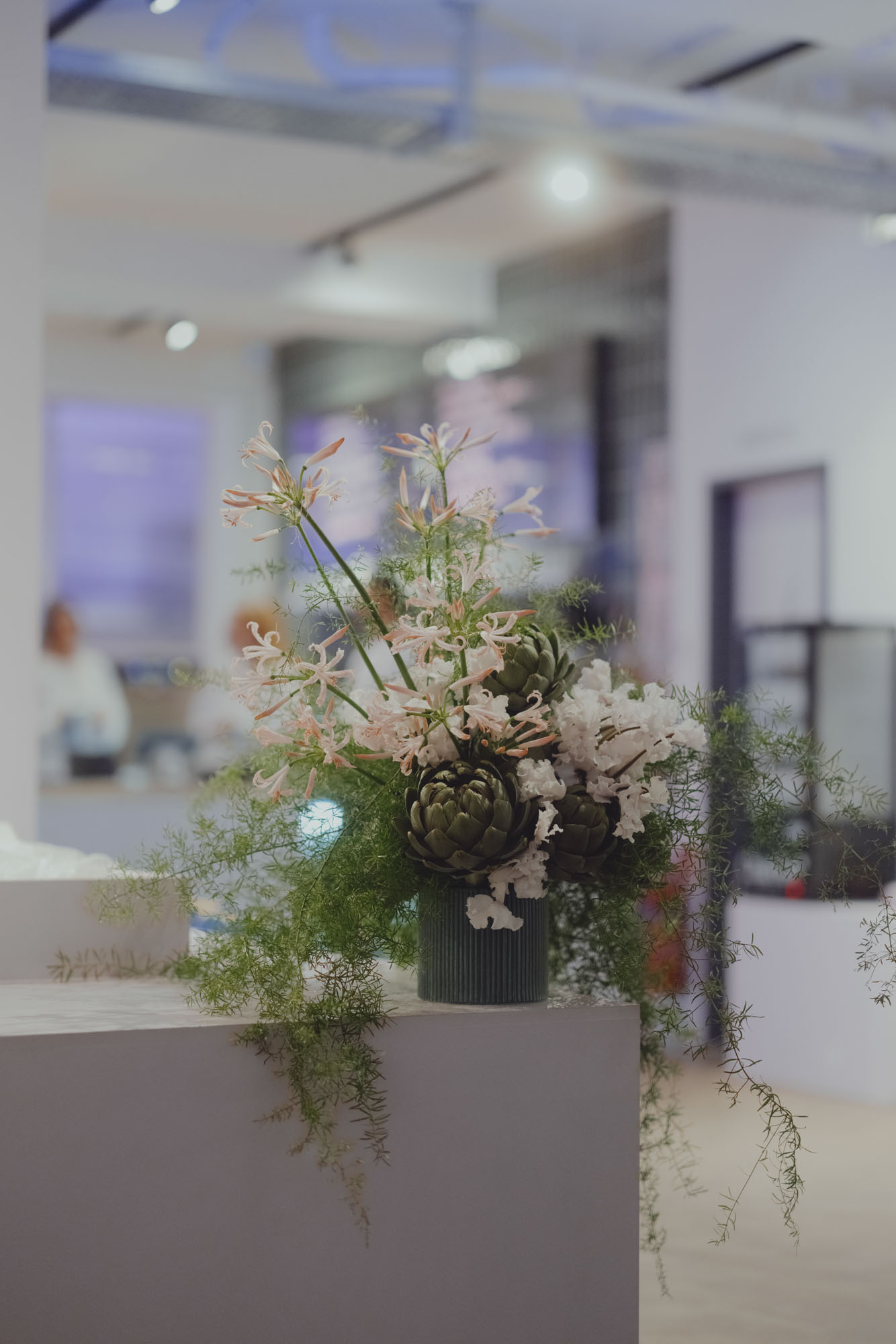 DH25 Aneveningwith Hamburg 03