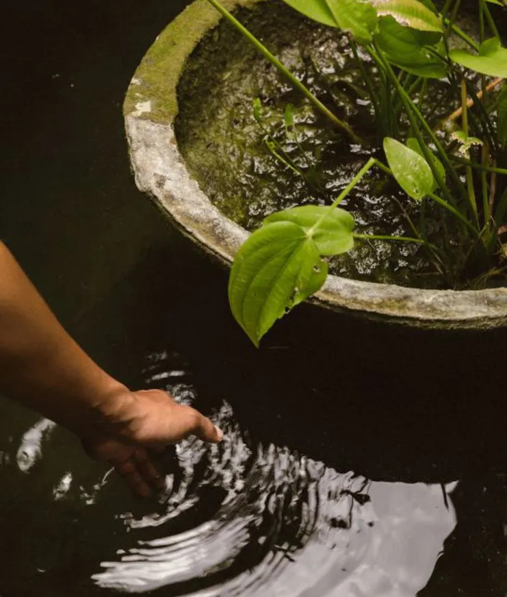 04 Sneak Peak Magia De Uma Bathroom Pond Detail