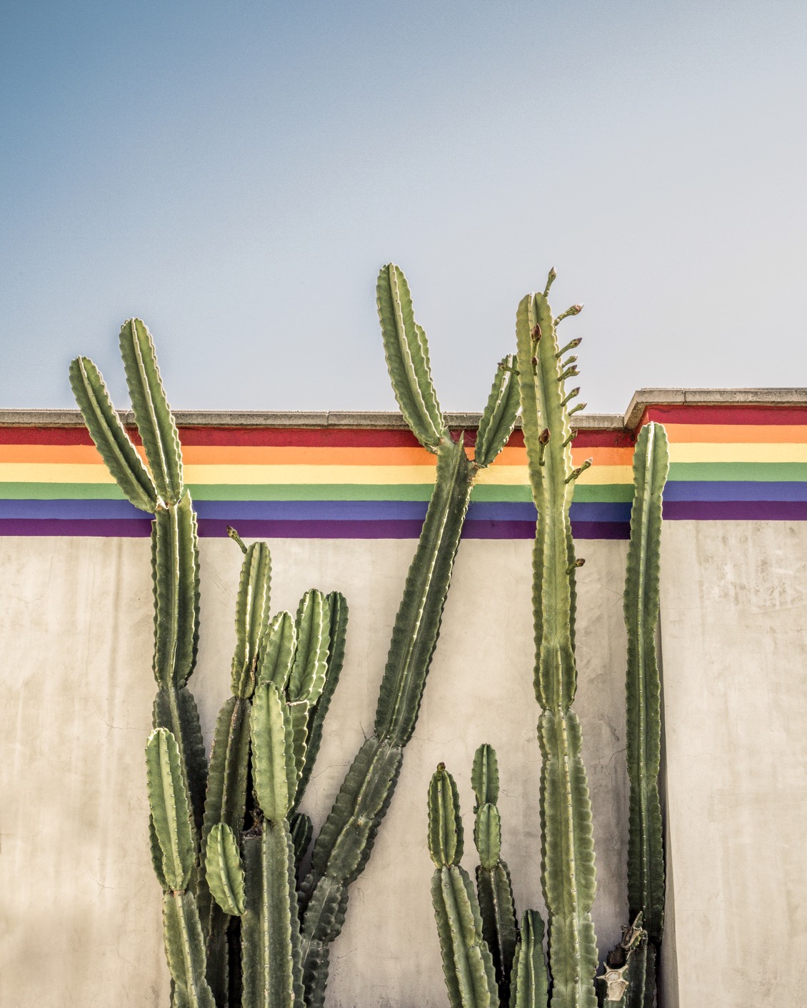 005 BP Pride 2022 Cacti