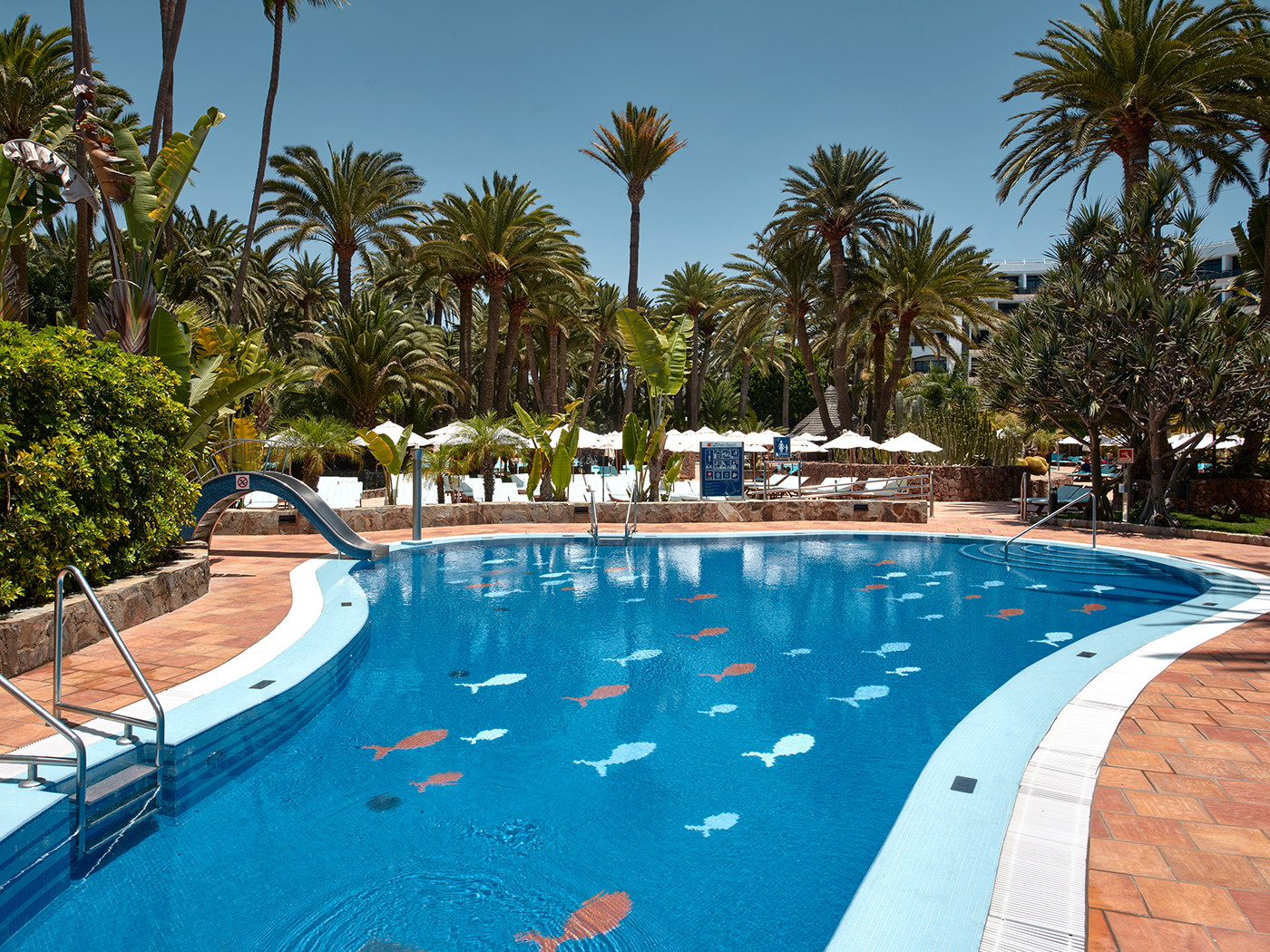 Seaside Palm Beach Family Room R 3