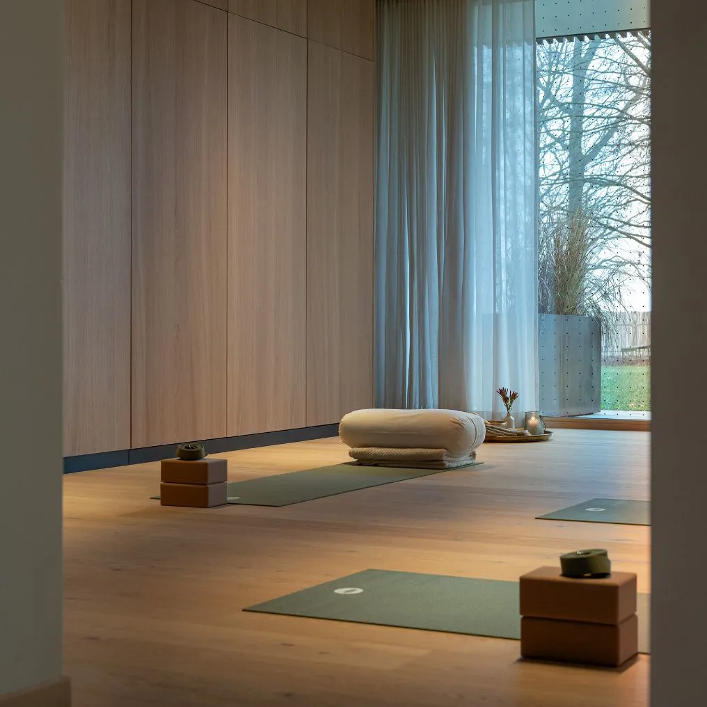 Seegut Zeppelin Theme Box 04 Wellness 4