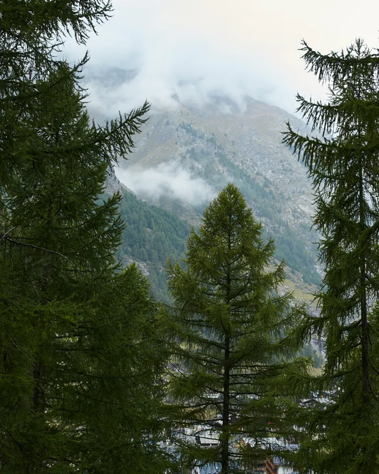 BP Cervo Panel Recap 04