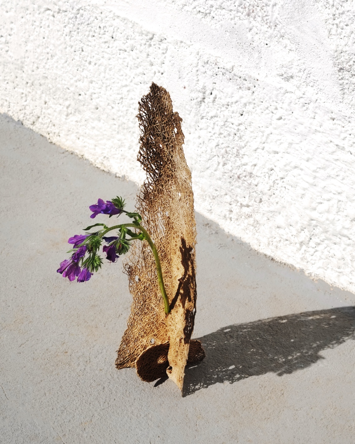 BP My Private Oddyssey 03