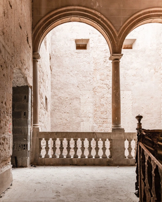 Sp Nobis Palma Teaser
