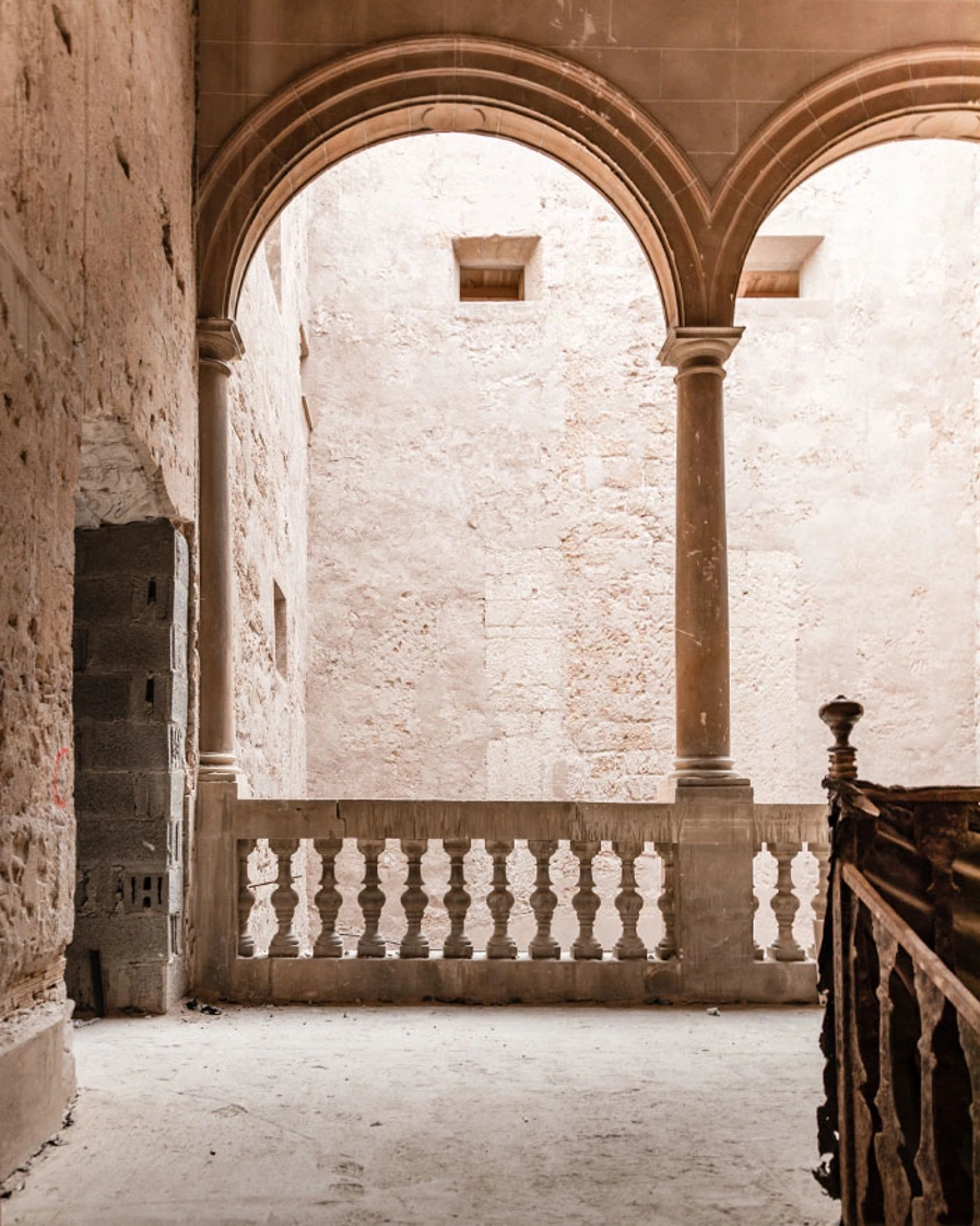 Sp Nobis Palma Teaser