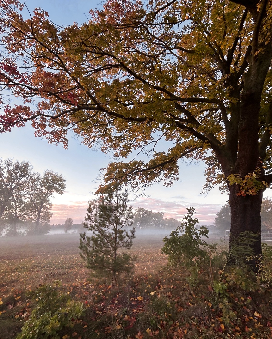 Journal Article Autumn 2023 09