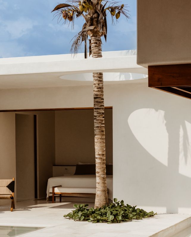 Hotelito At Musa Name Usp 01